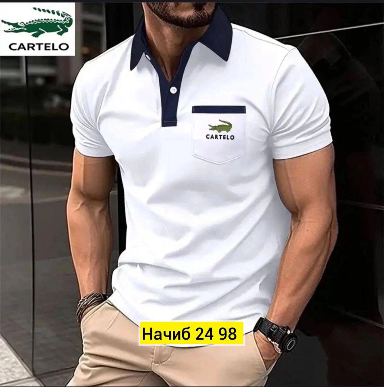 мужские футболки поло,футболки мужские,футболки для мужчин,мужская рубашка поло,мужское одежда