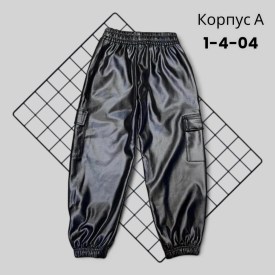Штаны