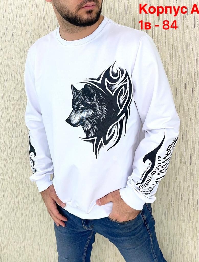 свитшот мужской белый,стильный свитшот,свитшоты мужские,одежды свитшоты,свитшот с принтом