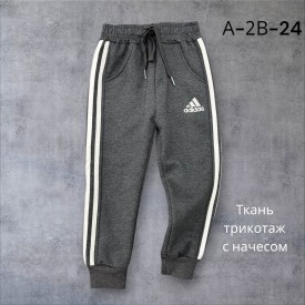 Штаны