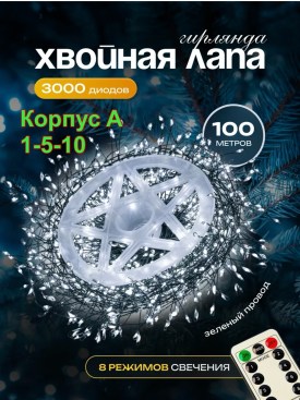 Одежда