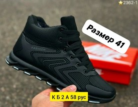 Одежда