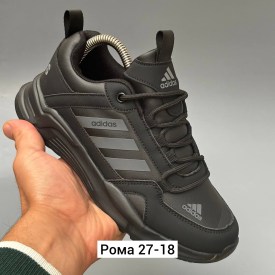 Одежда