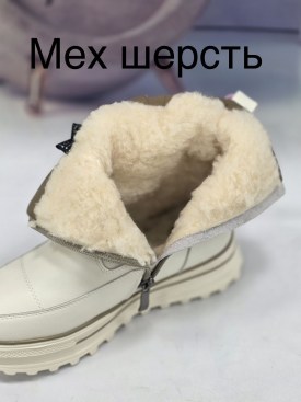 Тапочки