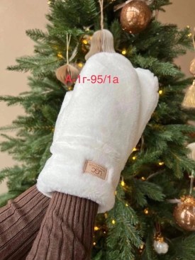 Одежда