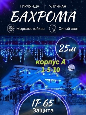 Одежда