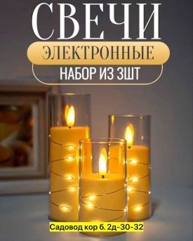 Одежда