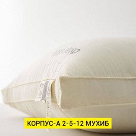 Одежда