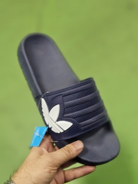 Сланцы