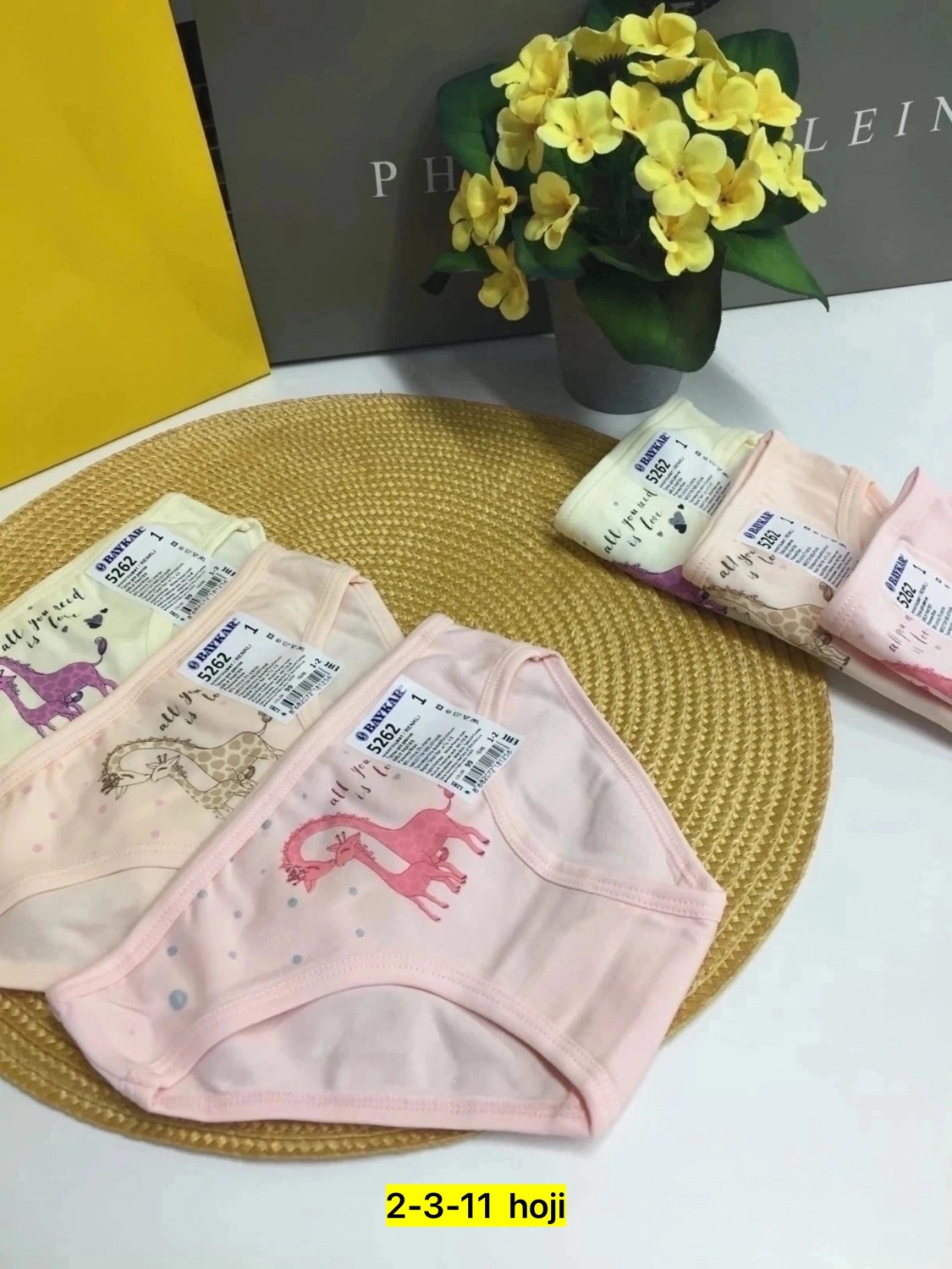 комплект трусов слипы baykar для девочек,комплект трусов baykar для девочек,комплект трусов слипы baykar,трусы для девочек,трусы детские для девочек