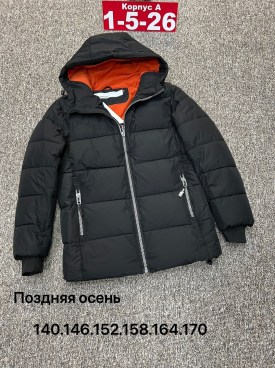 Верхняя одежда