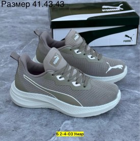 Одежда