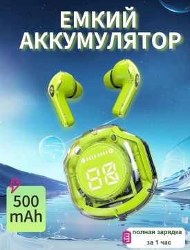Одежда