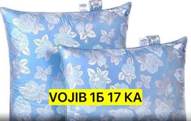 Одежда