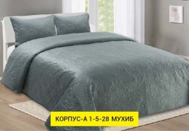 Одежда