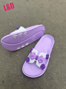 Сланцы