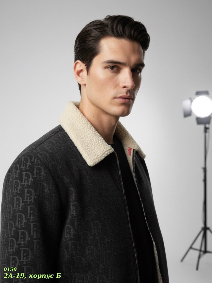 куртка луи виттон мужская,теплая куртка,куртка,повседневная куртка,демисезонная куртка