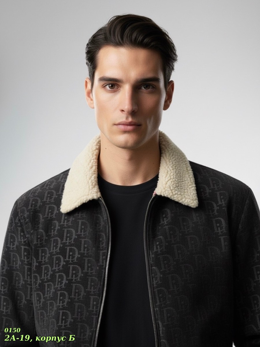 куртка луи виттон мужская,теплая куртка,куртка,повседневная куртка,демисезонная куртка