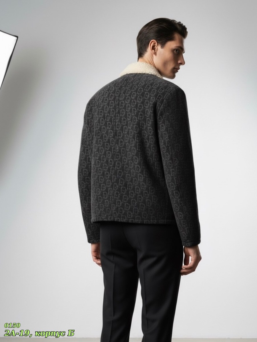 куртка луи виттон мужская,теплая куртка,куртка,повседневная куртка,демисезонная куртка