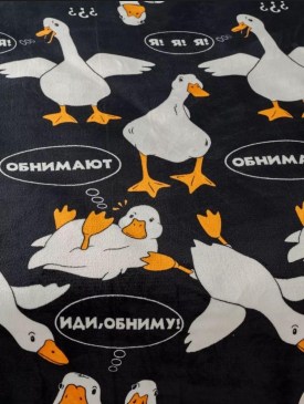 Одежда