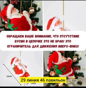 Одежда