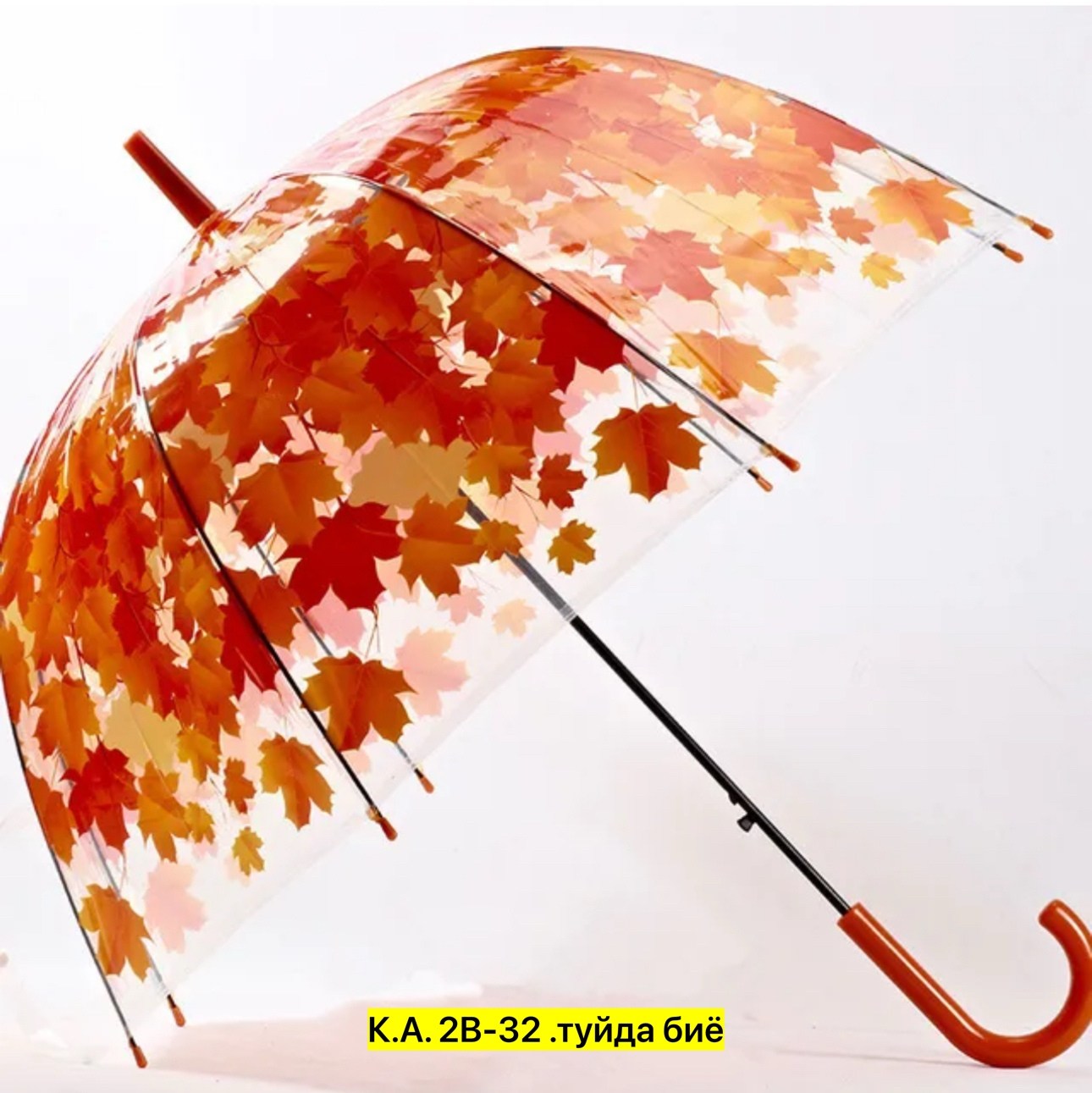 зонт,зонтик,зонт зонт,прозрачный зонт,прозрачный зонтик