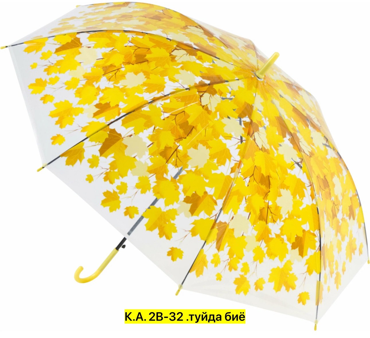 зонт,зонтик,зонт зонт,прозрачный зонт,прозрачный зонтик