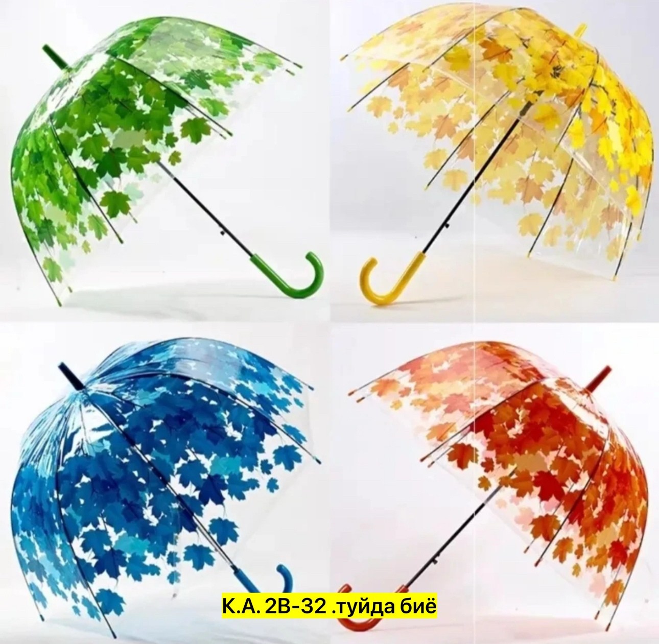 зонт,зонтик,зонт зонт,прозрачный зонт,прозрачный зонтик