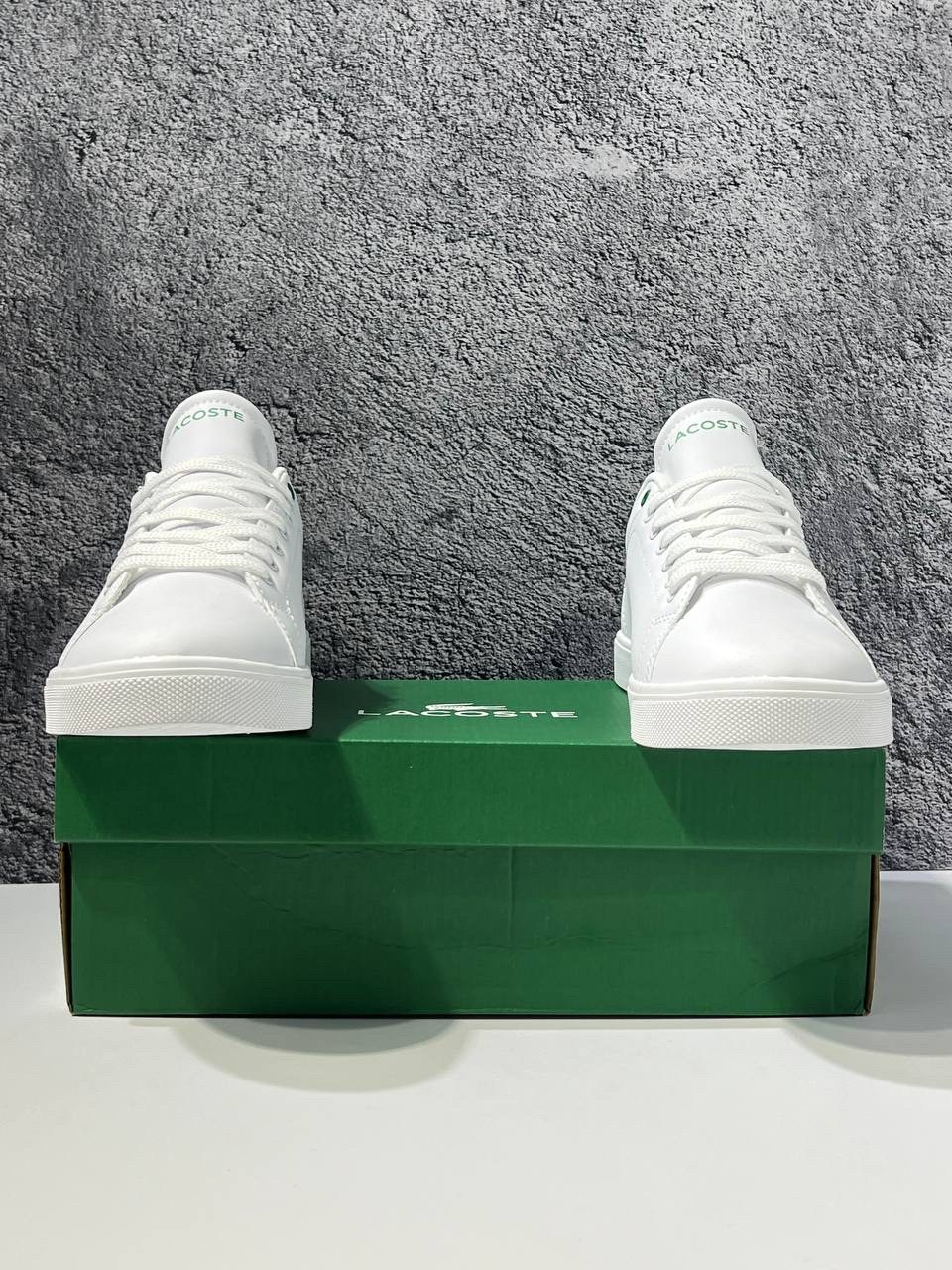 кроссовки lacoste,кроссовки мужские lacoste,,кроссовки lacoste белые паленые,лакоста