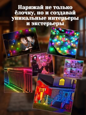 Одежда