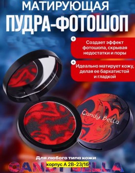 Одежда