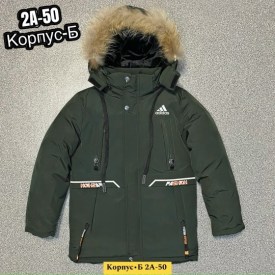 Верхняя одежда