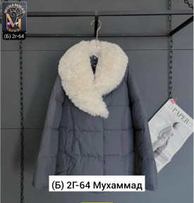 Верхняя одежда