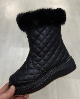 Одежда