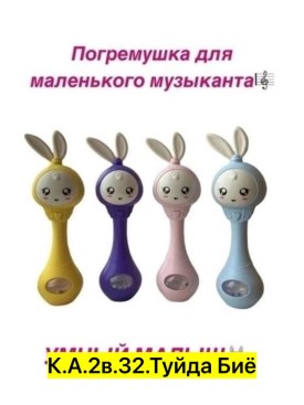 Одежда