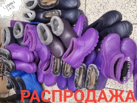 Одежда