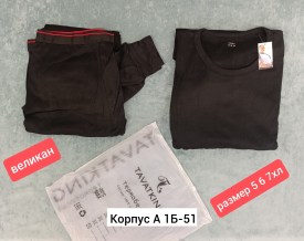 Одежда