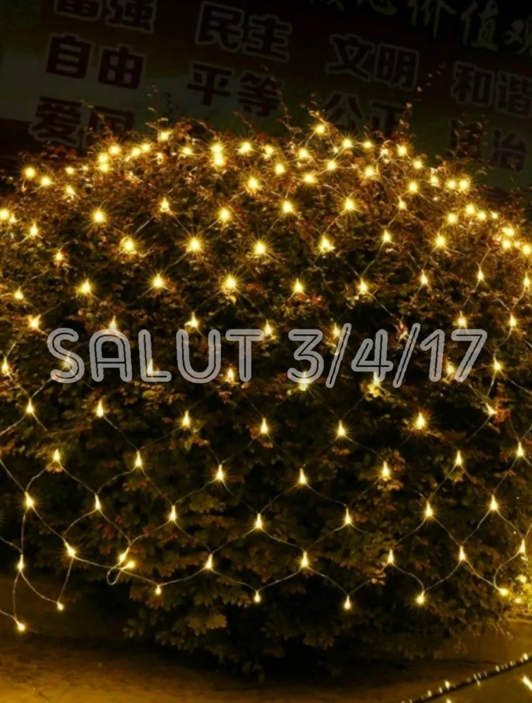 гирлянда сетка одной полоской,светодиодная гирлянда сетка,новогодняя гирлянда сетка,гирлянда сетка мерцание,светодиодная сетка