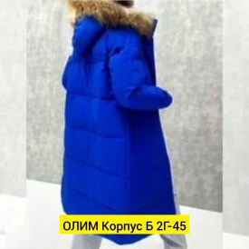 Верхняя одежда