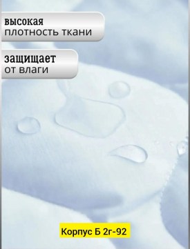 Одежда