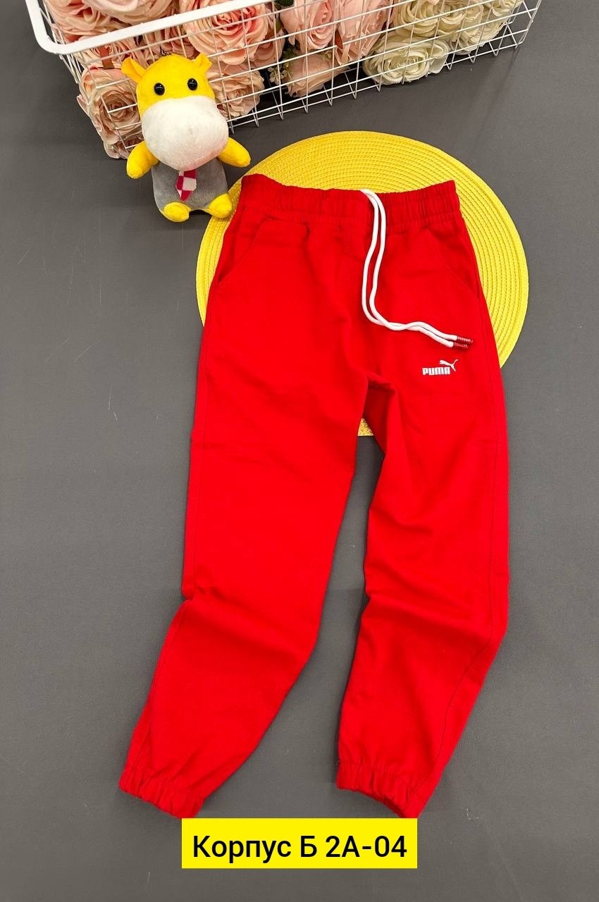 брюки для девочки на флисе,брюки для девочек,брюки для девочки трикотажные,брюки с кулиской,спортивные костюмы для девочек