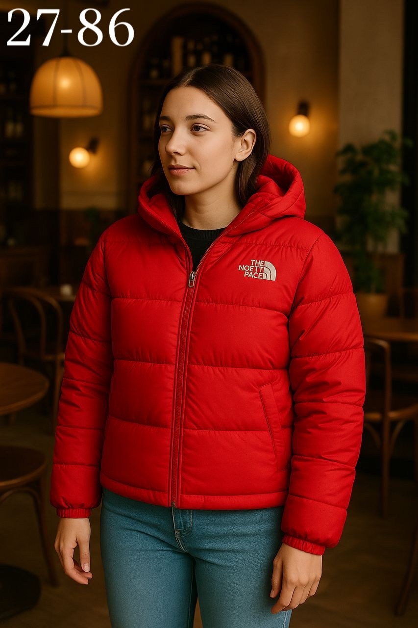 пуховик the north face,тнф куртка двухсторонняя мужская,куртка пуховик the north face,двухсторонняя куртка tnf,the north face куртка