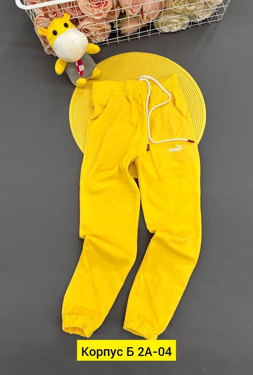 брюки для девочки на флисе,брюки для девочек,брюки для девочки трикотажные,брюки с кулиской,спортивные костюмы для девочек