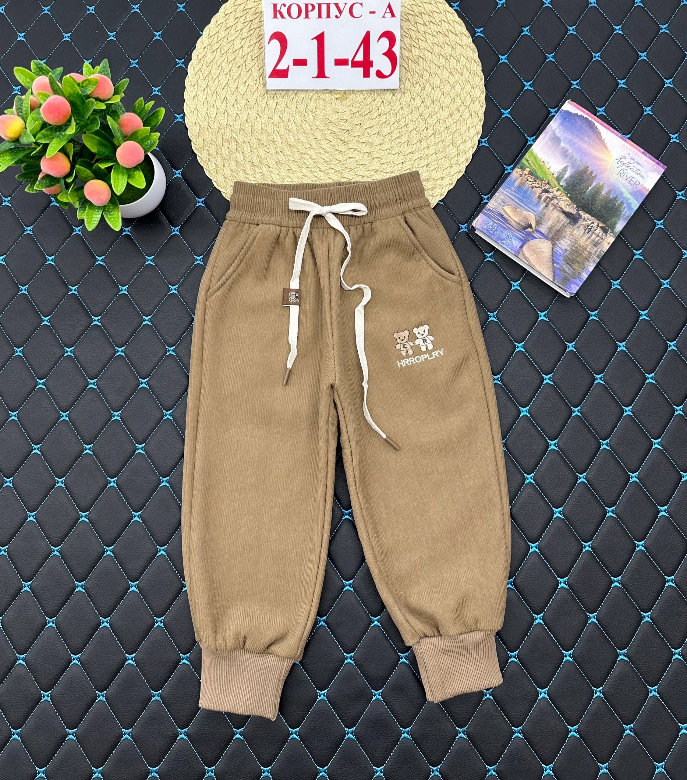 детские брюки,штаны детские,брюки для мальчика,штаны теплые,штаны с начесом