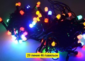 Одежда