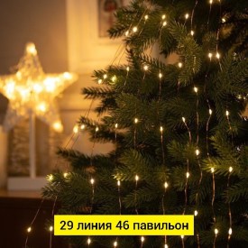 Одежда