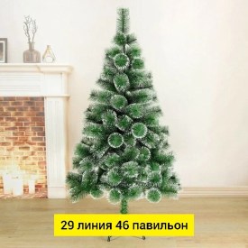 Одежда