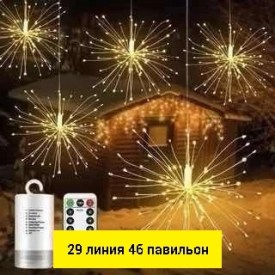 Одежда