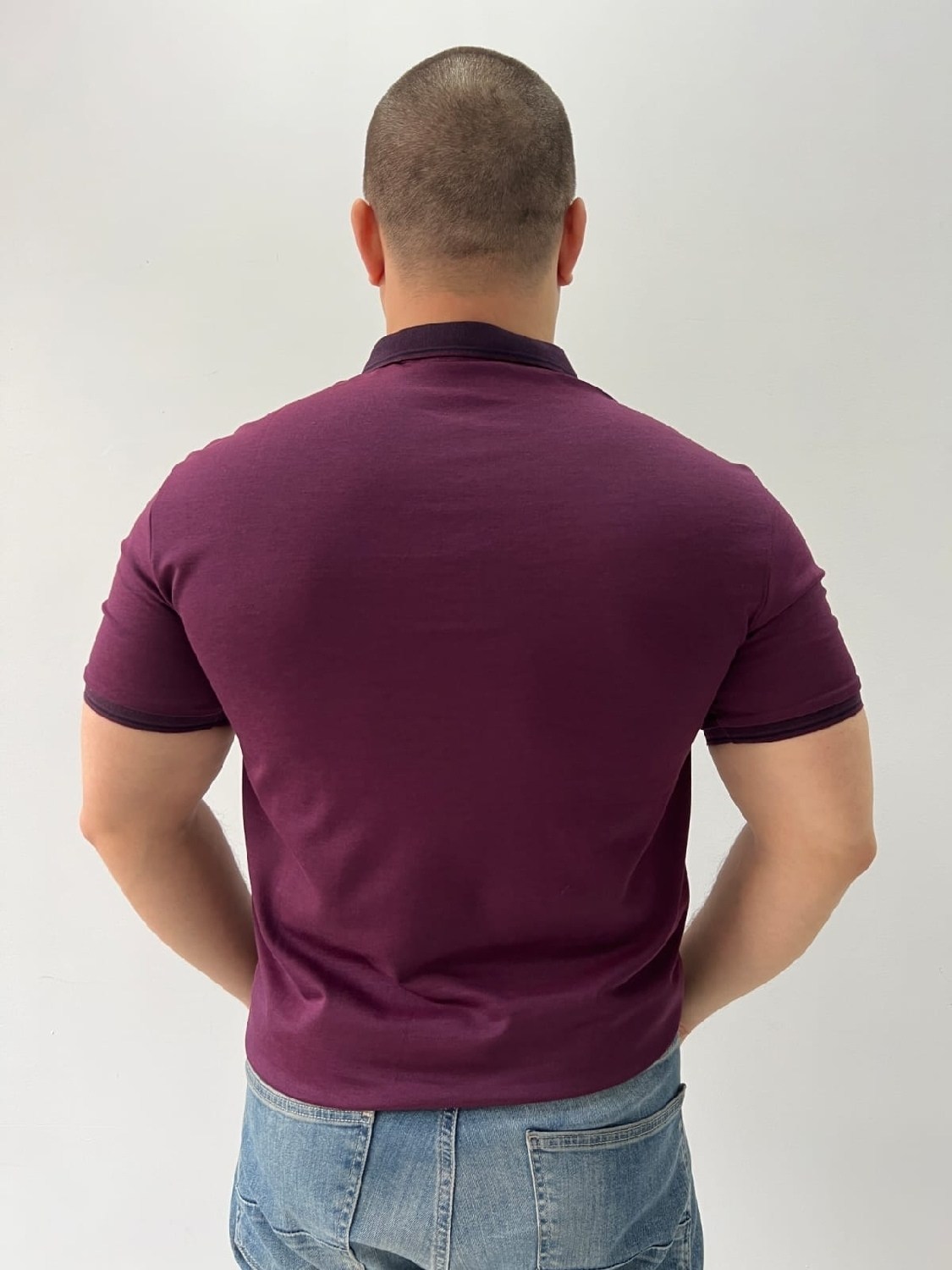 мужская футболка поло,футболки мужские,футболки поло,поло с,поло мужское с коротким рукавом