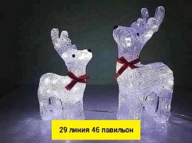 Одежда